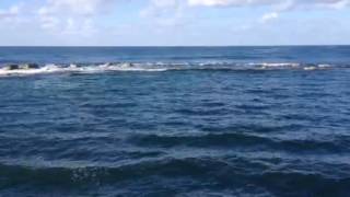 Elysium Hotel Beach Paphos in January