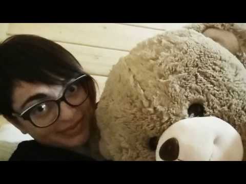 La Storia di Toffee. E del terremoto del 26 ottobre 2016