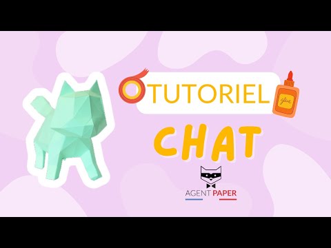 Chat - vidéo de présentation
