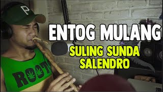Download lagu ENTOG MULANG..Suling sunda | Suling Salendro | Vokal Salendro mp3 Download lagu ENTOG MULANG..Suling sunda | Suling Salendro | Vokal Salendro mp3