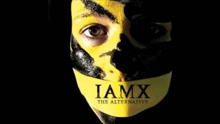 IAMX - The Negative Sex (Instrumental)