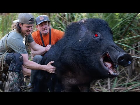 Hunting Invasive FERAL HOGS with Kendall Gray! (HUGE)