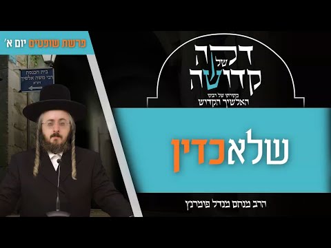 דקה מתורתו של רבינו האלשיך הקדוש - יום א' פרשת שופטים
