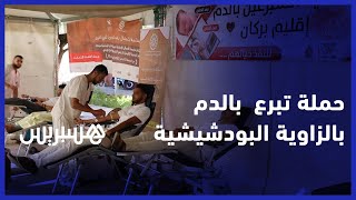 الزاوية البودشيشية .. مريدات ومريدين من مختلف الجنسيات يتبرعون بالدم لفائدة المتضررين من الزلزال thumbnail