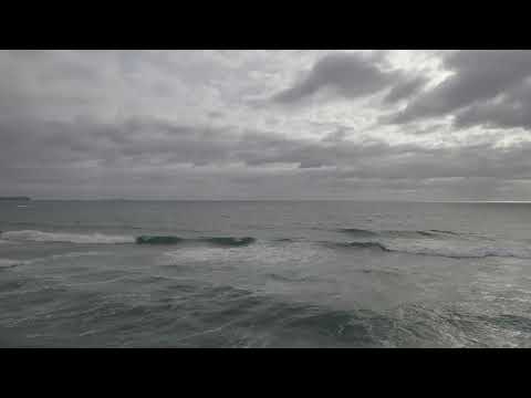 Onemana - 2023-01-01-1