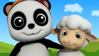 Mary Had A Little Lamb | Nursery Rhymes For Children | Baby Songs | Little Panda | Kids Tv Cartoons