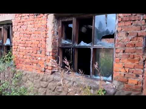 Dubharp - Гражданская Оборона (cover)