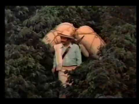 Colombian Coffee - Commercial Classic 1985