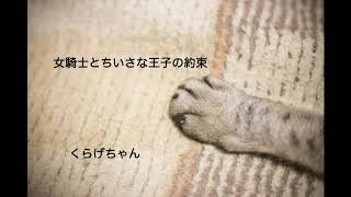【男性向けボイス】女騎士とちいさな王子の約束【くらげちゃん】