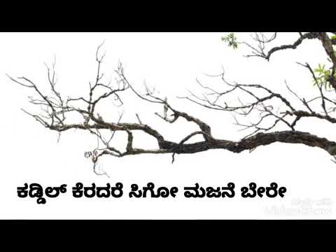 Kaddil keredare Lyrics status  |  The Great Story Of Sodabuddi 🥰