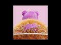 Ice Spice & Nicki Minaj - Princess Diana (Instrumental)
