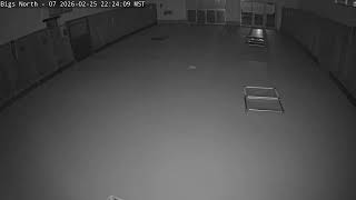 DogMode: North Inside