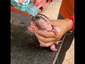 Mom Use Baby Shampoo To Bathing Newborn Baby Monkey DORN