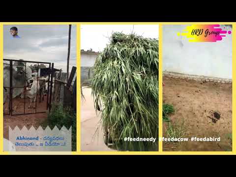 Happy Birthday - Abhinand