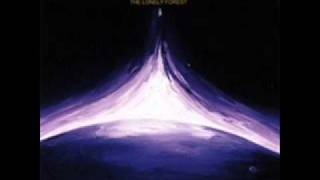 The Lonely Forest - Wiseman's Warning