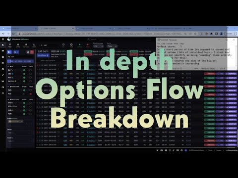 In Depth Options Flow Breakdown