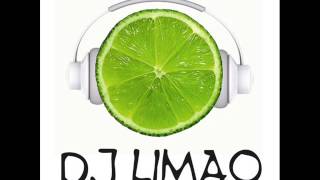 TRIBAL HOUSE MIX 2014 - DJ LIMAO ***free download***
