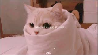 Download lagu Vietsub   Lyric Bukanpho   DJ DESA remix  Kay Music meo 2022 mp3