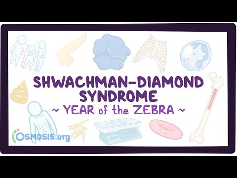 Canavan disease Year of the Zebra