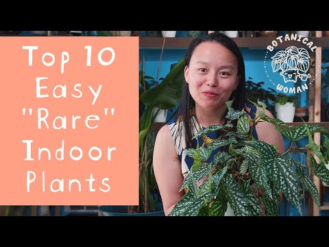 , title : 'Top 10 Easy "Rare" Indoor Plants'
