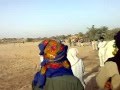 Kandhra Buriro 2 Mpg