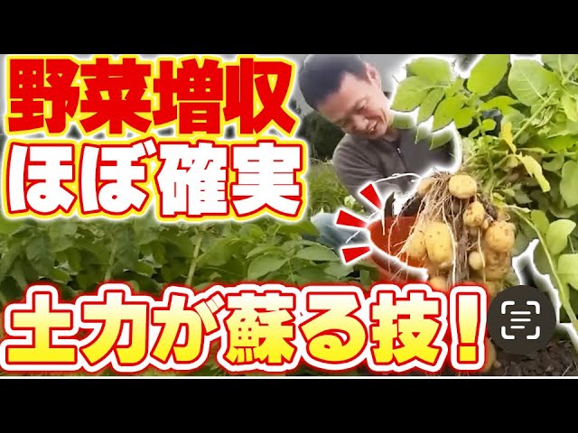 育たない土を蘇らせる土壌改善法