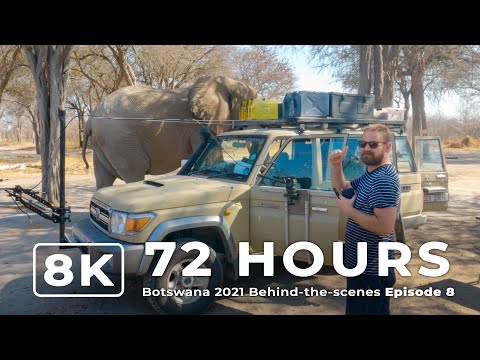 72 Hours | Botswana 2021 Ep 8 | Behind-the-scenes filming African wildlife in 8K