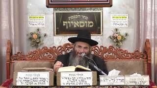 הרב עופר כדורי | פרשת ויקהל פקודי | מוסאיוף (בית הכנסת מוסאיוף) - התמונה מוצגת ישירות מתוך אתר האינטרנט יוטיוב. זכויות היוצרים בתמונה שייכות ליוצרה. קישור קרדיט למקור התוכן נמצא בתוך דף הסרטון