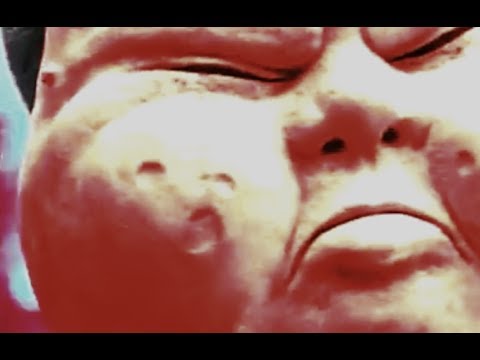 DJ Cummerbund - BasketFlies