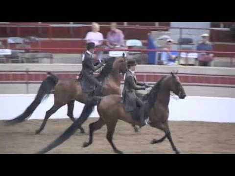 ****SOLD*****Whispering Masterwork at Syracuse