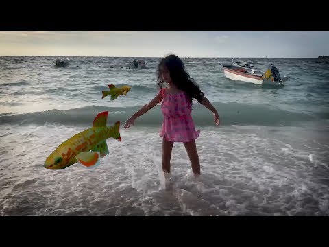 lo que hay en Playa Blanca, isla Barú en Bolivar