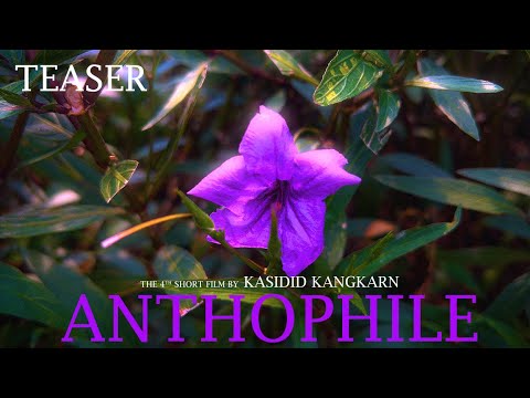 Anthophile