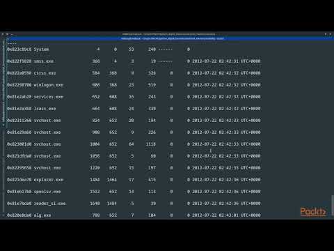 Python Digital Forensics Analyzing Windows Memory | packtpub com
