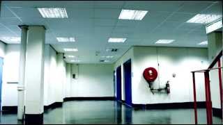 HAWK EYES /// KISS THIS