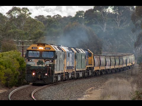Quad Lash up on 7736V loaded grain at Great Western plus Solo NR84 at Langi Logan with 4PM4- 14/7/24