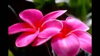 Stand By Me "BY' Mickey Gilley