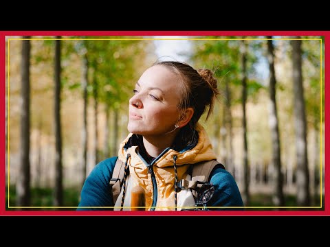 El Camino de Santiago