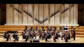Symphony No. 25, K. 183 (Mvt. 1, Allegro con Brio) by W. A. Mozart