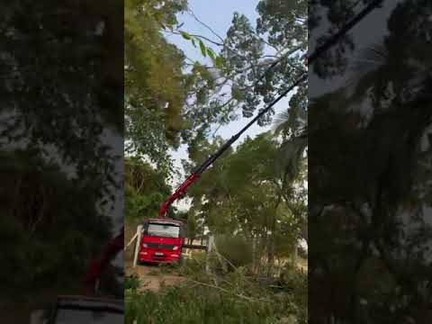 Corte de Árvore com Segurança e Eficiência em Santa Cruz do Rio Pardo