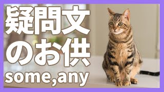 【ぽんぐり23】疑問文のお供〜someとany〜