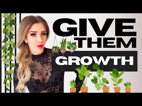 What Submissives *REALLY WANT* from their Dominants: Pt. 3 (BDSM Relationship Guide) | Ms. Elle X