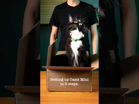 Oasis Mini - Bức tranh nghệ thuật tĩnh lặng