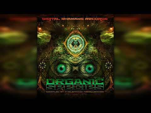 05. Aknoyd vs Synthetik Chaos (Aknoyd Rmx) - Meu deus