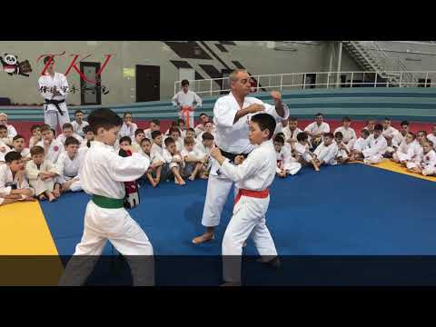 TKI Russia  Children Todome Waza II