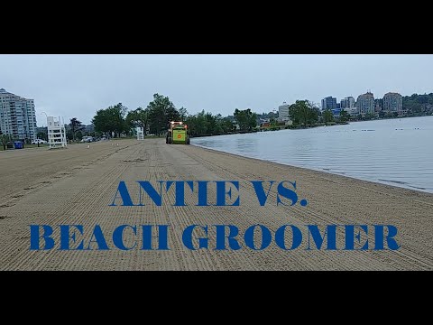 Antie's Adventure Assortment Episode 58  Racing the Beach Groomer!