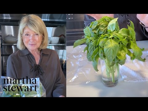Martha's Tips for Keeping Basil Fresh | Homeschool with Martha | #StayHome #WithMe