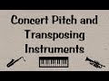 What Is Concert Pitch And Why And How Do Instruments Transpose