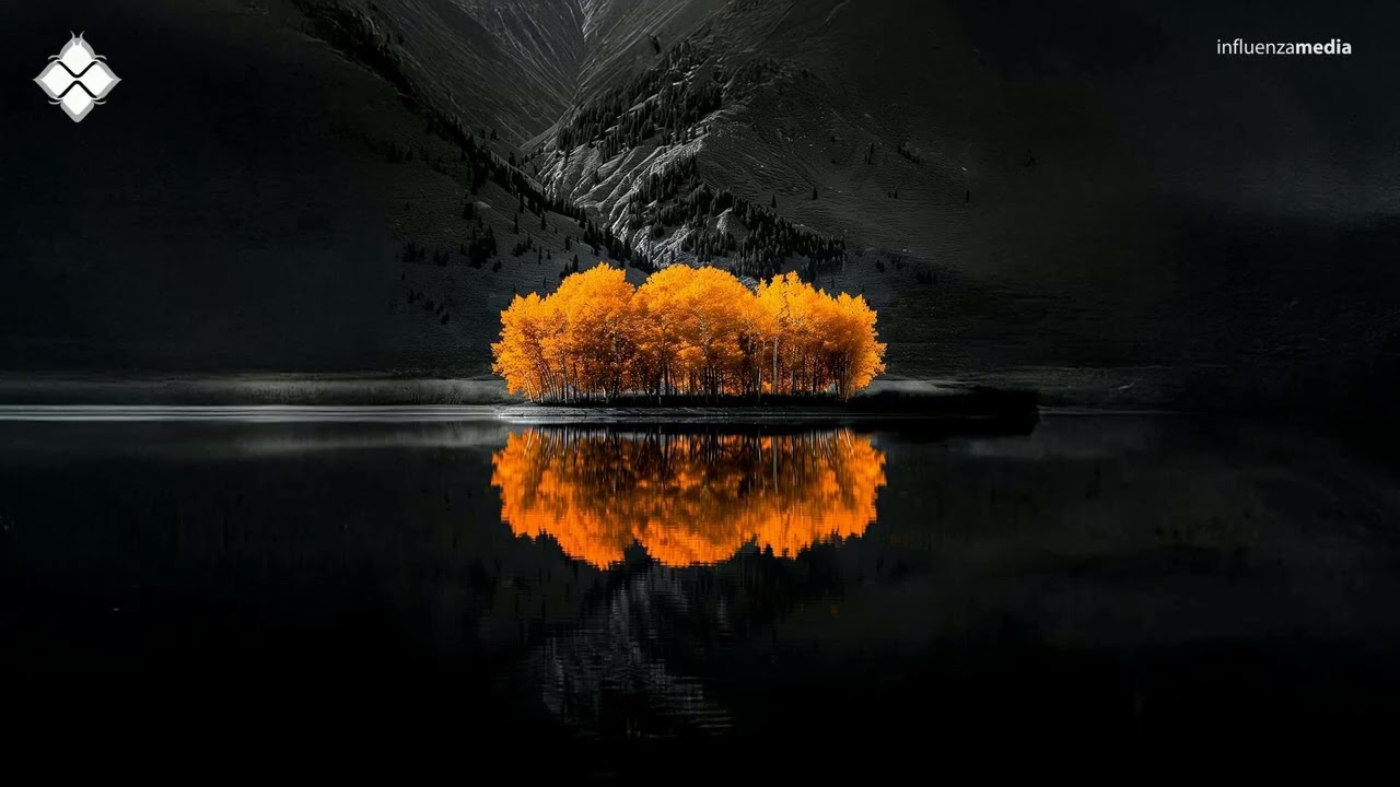 Dynamic Stab - Never Die