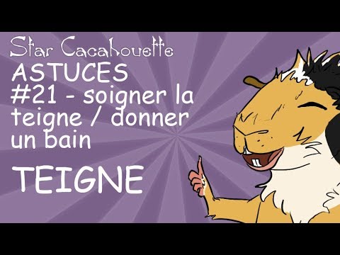 download lagu mp3 mp4 Mon Cochon D Inde Perd Ses Poils, download lagu Mon Cochon D Inde Perd Ses Poils gratis, unduh video klip Mon Cochon D Inde Perd Ses Poils