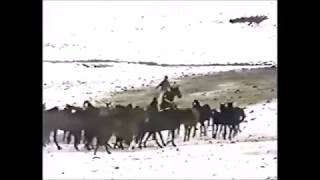 John Denver / Merry Christmas☆彡